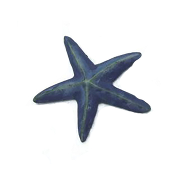 Slika Nalepnica morska zvezda ZOS7601