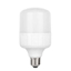 Slika Led sijalica TORCH-30  E27  6400K  30 W  